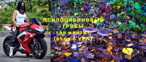 таблы Верхний Тагил