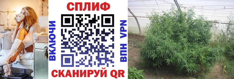 Каннабис индика  Севастополь 